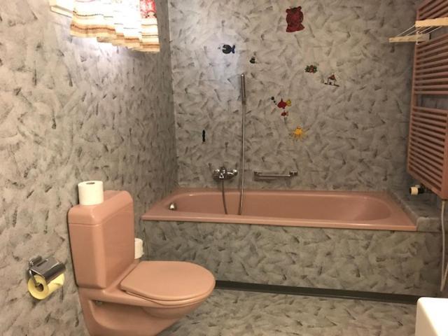 Hotel Alpina Unterwasser エクステリア 写真