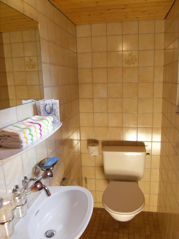 Hotel Alpina Unterwasser エクステリア 写真